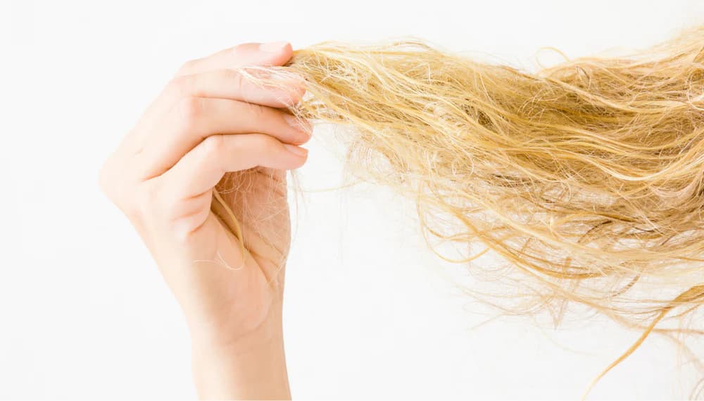 Yao Secret What Is Porosity and What Can You Do About It?