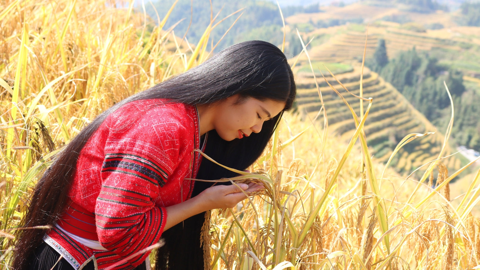 Red Yao Tribe Hair Care Red Yao Tribe Hair Care Secrets for Lustrous Locks