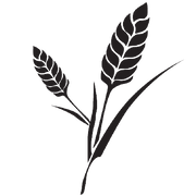 logo of Natural & Sustainable Asian Hair Care Products