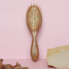 Paddle Brush